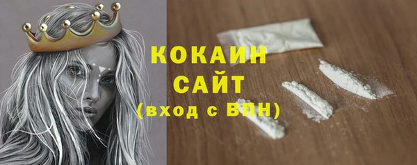 ПСИЛОЦИБИНОВЫЕ ГРИБЫ Верея