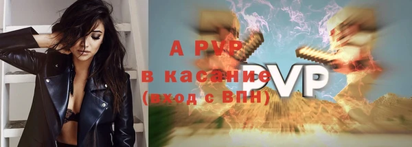 СК Верхний Тагил